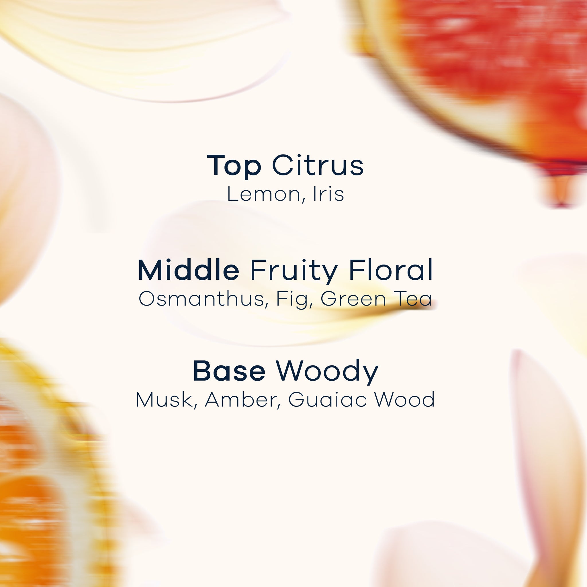 Sunny Fig - Perfume Radiant Body Lotion